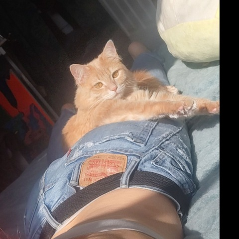 ababyj OnlyFans - Free Access to 32 Videos & 49 Photos Onlyfans Free Access