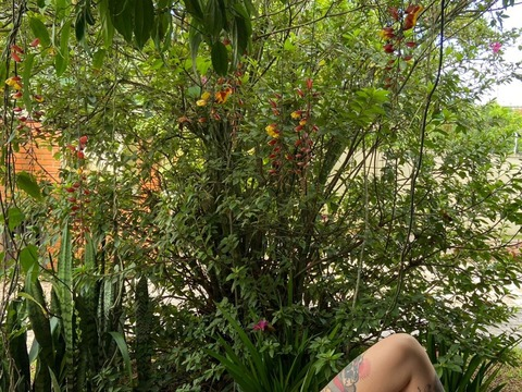 abrisadabruxa OnlyFans - Free Access to 32 Videos & 55 Photos Onlyfans Free Access