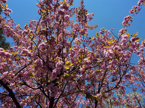 andyisdtp OnlyFans - Free Access to 32 Videos & 49 Photos Onlyfans Free Access