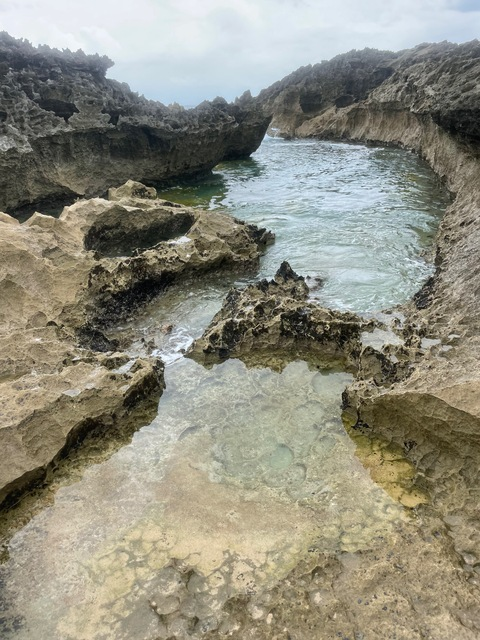 asapmamiii OnlyFans - Free Access to 32 Videos & 49 Photos Onlyfans Free Access