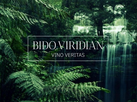 bido.viridian OnlyFans - Free Access to 32 Videos & 49 Photos Onlyfans Free Access