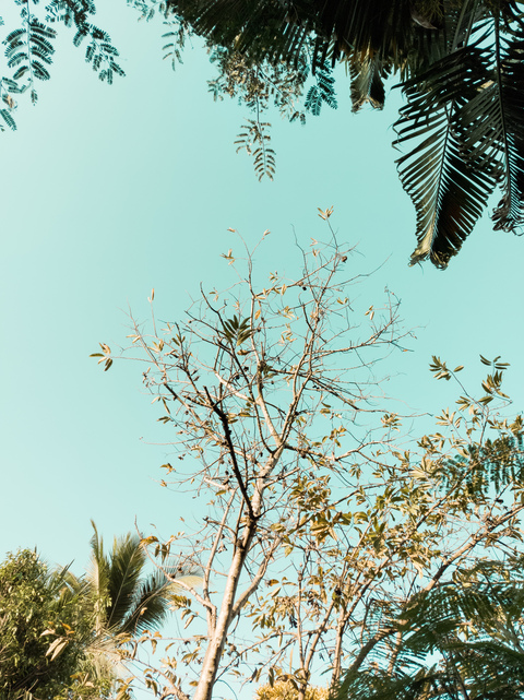 bixz1 OnlyFans - Free Access to 32 Videos & 49 Photos Onlyfans Free Access