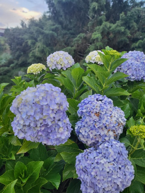 briarmas30 OnlyFans - Free Access to 32 Videos & 49 Photos Onlyfans Free Access