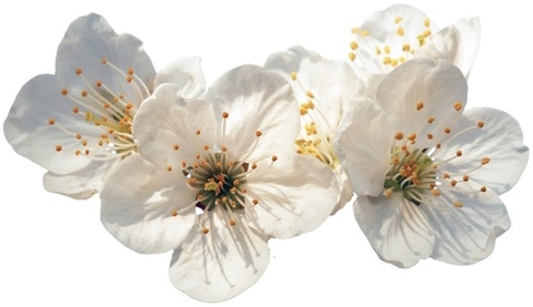 bxtits OnlyFans - Free Access to 51 Videos & 158 Photos Onlyfans Free Access