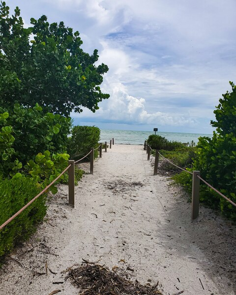 calia OnlyFans - Free Access to 32 Videos & 49 Photos Onlyfans Free Access