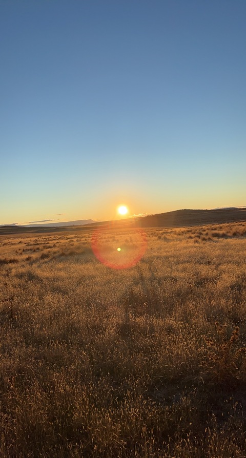 cherry-lipz1 OnlyFans - Free Access to 32 Videos & 49 Photos Onlyfans Free Access