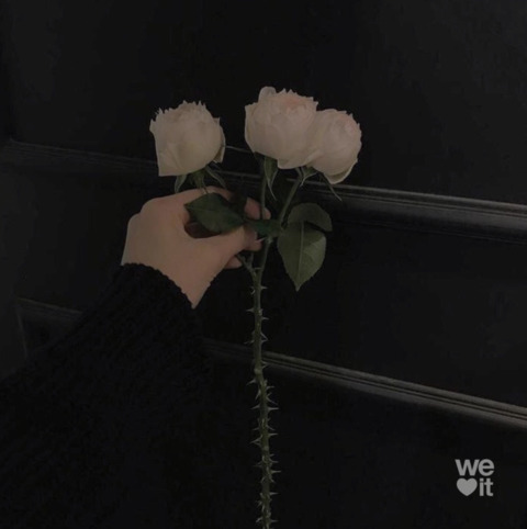 entire OnlyFans - Free Access to 32 Videos & 49 Photos Onlyfans Free Access