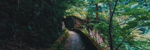 explodedsoda OnlyFans - Free Access to 32 Videos & 682 Photos Onlyfans Free Access