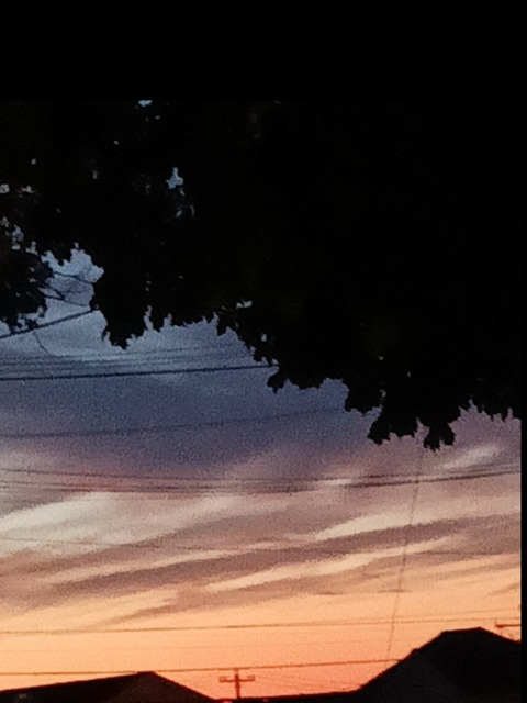 fornikatie OnlyFans - Free Access to 32 Videos & 49 Photos Onlyfans Free Access