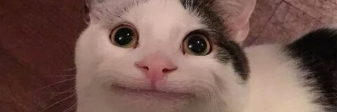 gellinajsn OnlyFans - Free Access to 32 Videos & 49 Photos Onlyfans Free Access