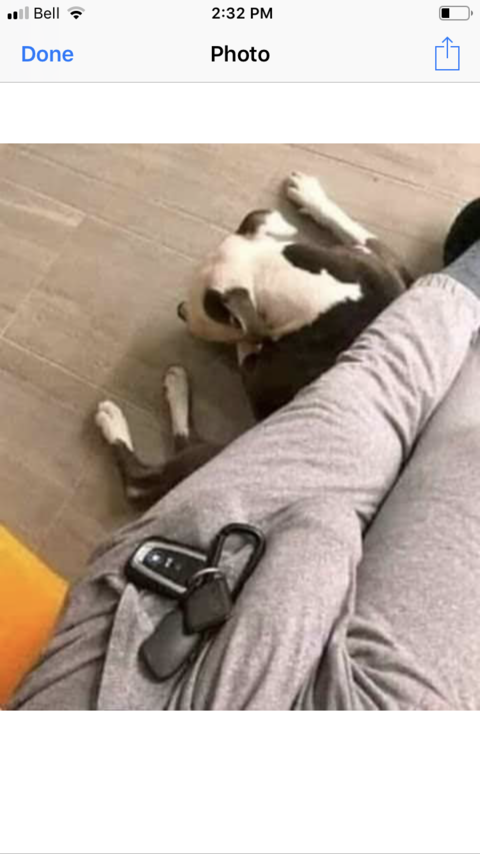 griffith OnlyFans - Free Access to 32 Videos & 49 Photos Onlyfans Free Access