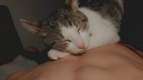 habibi01 OnlyFans - Free Access to 32 Videos & 49 Photos Onlyfans Free Access