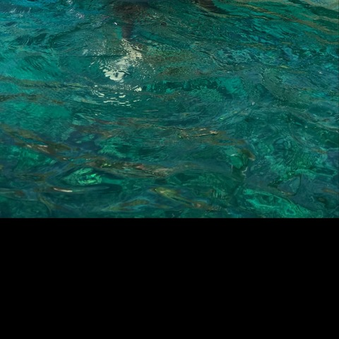 halieleo OnlyFans - Free Access to 32 Videos & 49 Photos Onlyfans Free Access