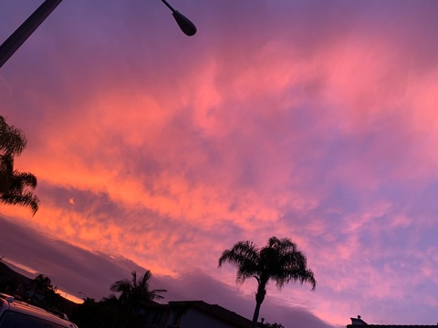 happyhoneeyy OnlyFans - Free Access to 32 Videos & 49 Photos Onlyfans Free Access