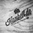 haubeilmodels Profile Picture