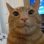 imderi Profile Picture