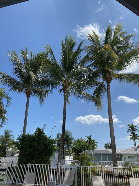 jfirecrackerxoo OnlyFans - Free Access to 32 Videos & 49 Photos Onlyfans Free Access