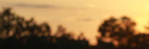 jiaduobao11 OnlyFans - Free Access to 32 Videos & 49 Photos Onlyfans Free Access