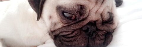 jj4055 OnlyFans - Free Access to 32 Videos & 49 Photos Onlyfans Free Access