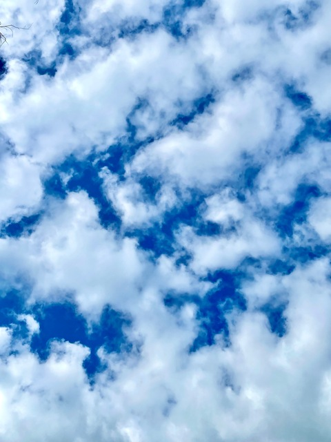 kaylynn222 OnlyFans - Free Access to 32 Videos & 49 Photos Onlyfans Free Access