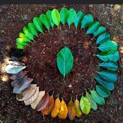 kyababi OnlyFans - Free Access to 32 Videos & 49 Photos Onlyfans Free Access