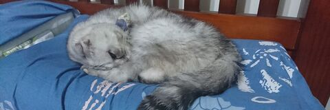 laison OnlyFans - Free Access to 32 Videos & 49 Photos Onlyfans Free Access