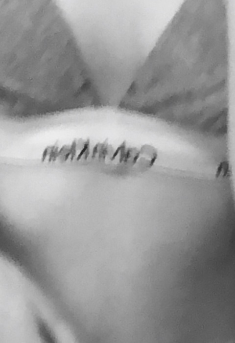 lenaskyy OnlyFans - Free Access to 32 Videos & 49 Photos Onlyfans Free Access