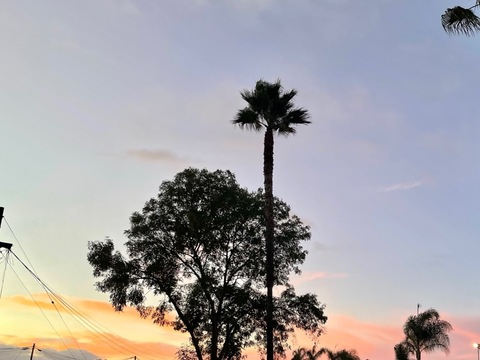 lillyrae OnlyFans - Free Access to 32 Videos & 49 Photos Onlyfans Free Access