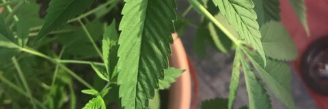 littitty OnlyFans - Free Access to 32 Videos & 49 Photos Onlyfans Free Access