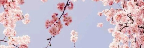 lizzy9617 OnlyFans - Free Access to 32 Videos & 49 Photos Onlyfans Free Access