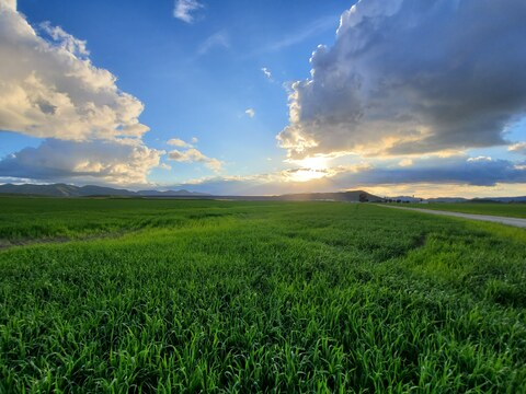 lyssh OnlyFans - Free Access to 32 Videos & 49 Photos Onlyfans Free Access