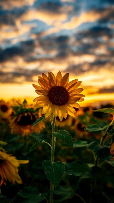 milkymom OnlyFans - Free Access to 32 Videos & 49 Photos Onlyfans Free Access