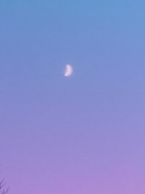 missjaylee OnlyFans - Free Access to 32 Videos & 49 Photos Onlyfans Free Access