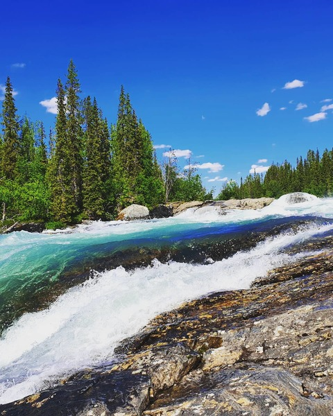 missnorth OnlyFans - Free Access to 32 Videos & 49 Photos Onlyfans Free Access