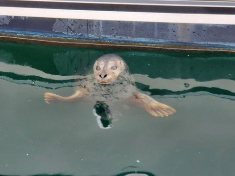 mittens OnlyFans - Free Access to 32 Videos & 49 Photos Onlyfans Free Access