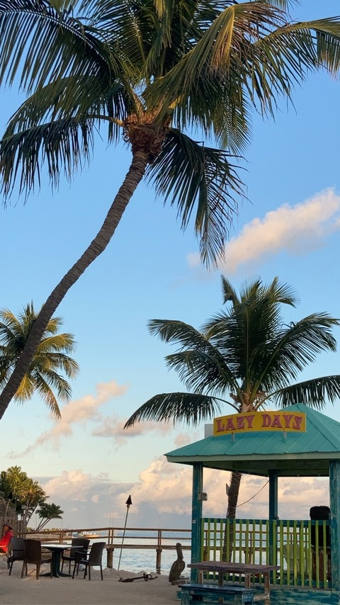 moniquealex OnlyFans - Free Access to 32 Videos & 49 Photos Onlyfans Free Access