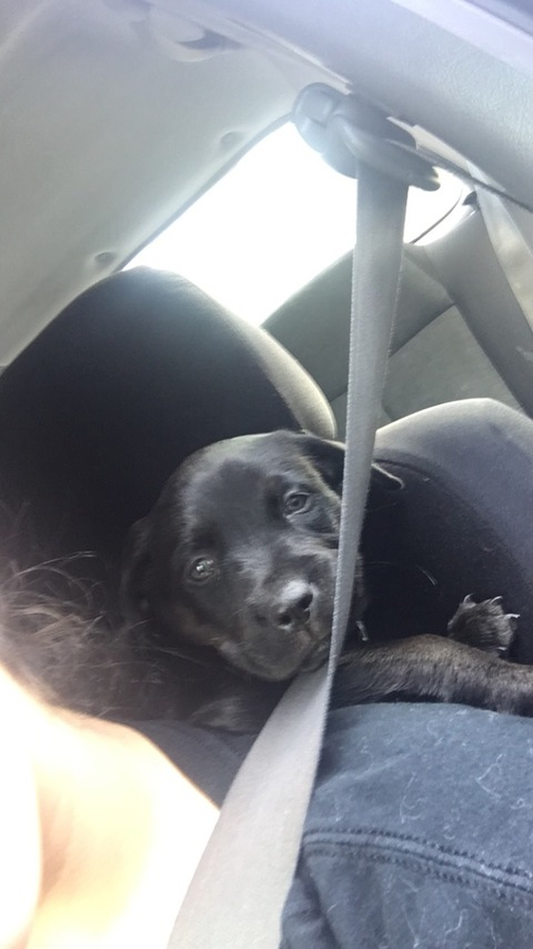 nemo_1245 OnlyFans - Free Access to 32 Videos & 94 Photos Onlyfans Free Access