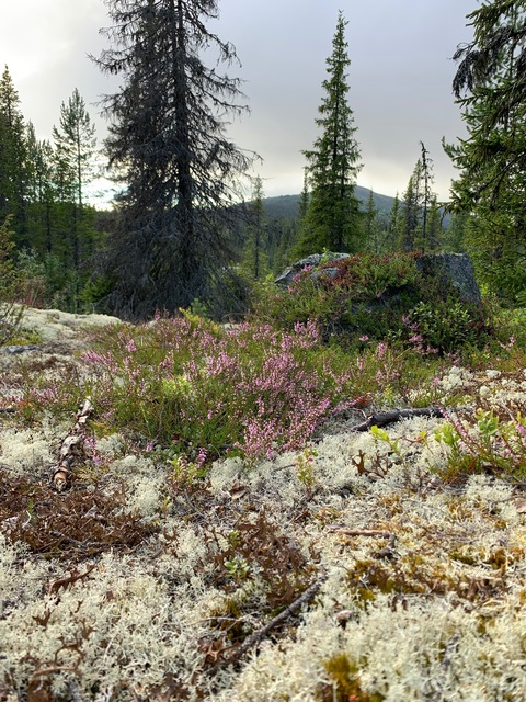 notielinh OnlyFans - Free Access to 32 Videos & 49 Photos Onlyfans Free Access