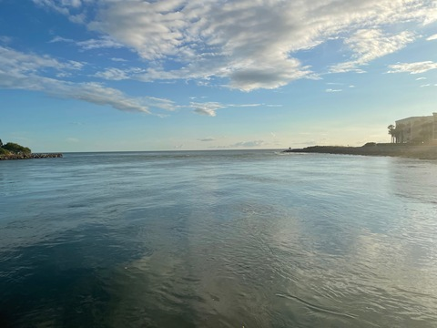 ocean5561 OnlyFans - Free Access to 32 Videos & 49 Photos Onlyfans Free Access