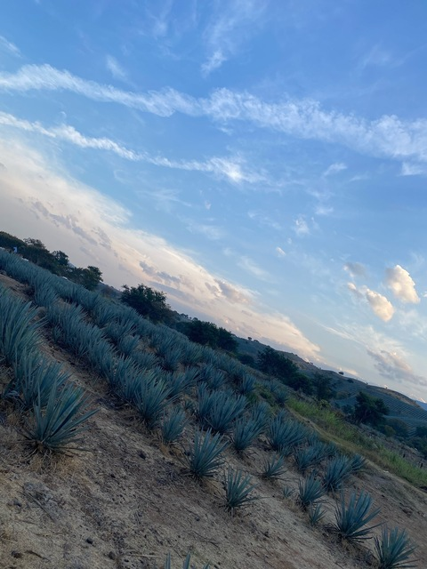 priscillaaaaa OnlyFans - Free Access to 32 Videos & 49 Photos Onlyfans Free Access