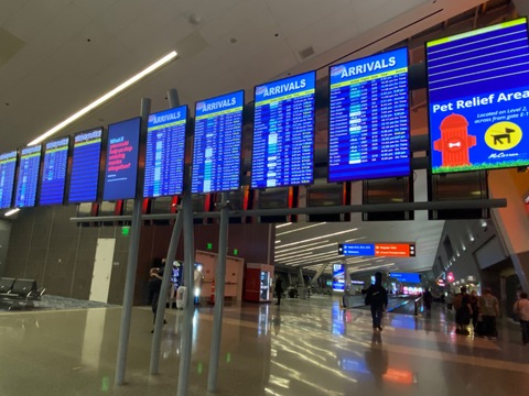 racquellonel OnlyFans - Free Access to 32 Videos & 49 Photos Onlyfans Free Access