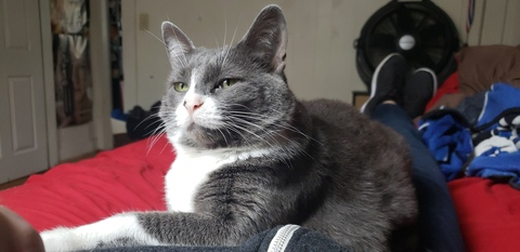 ristuccia OnlyFans - Free Access to 32 Videos & 49 Photos Onlyfans Free Access