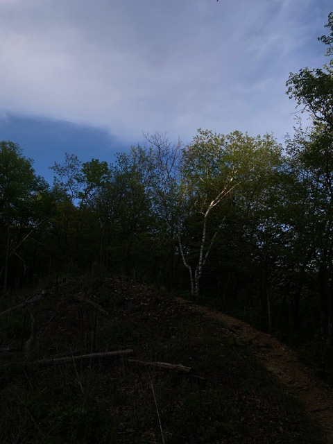 sussybellabaka OnlyFans - Free Access to 32 Videos & 49 Photos Onlyfans Free Access