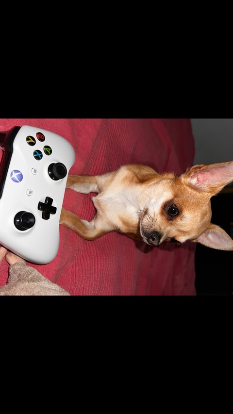 sweet_justin96 OnlyFans - Free Access to 32 Videos & 49 Photos Onlyfans Free Access