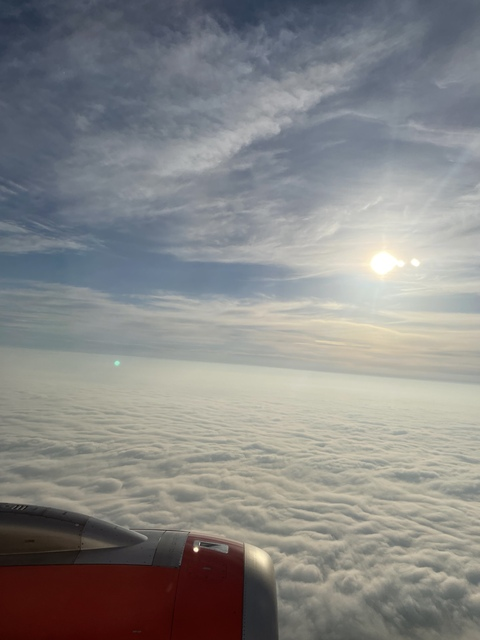 thealicious OnlyFans - Free Access to 32 Videos & 49 Photos Onlyfans Free Access