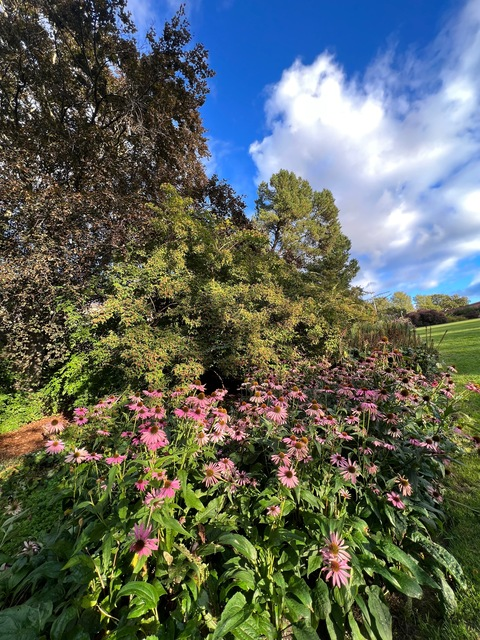 thecutzies OnlyFans - Free Access to 32 Videos & 49 Photos Onlyfans Free Access