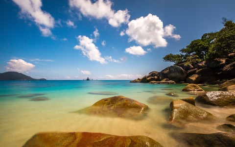 thewildking OnlyFans - Free Access to 32 Videos & 49 Photos Onlyfans Free Access