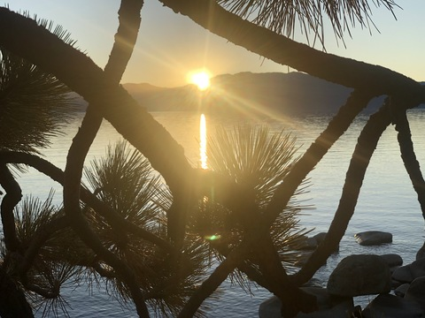 u15914005 OnlyFans - Free Access to 32 Videos & 49 Photos Onlyfans Free Access