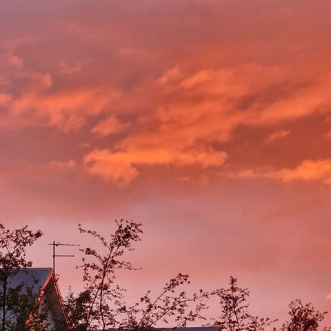 u253014913 OnlyFans - Free Access to 32 Videos & 49 Photos Onlyfans Free Access