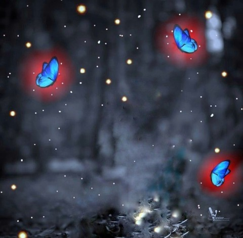 u268616894 OnlyFans - Free Access to 32 Videos & 49 Photos Onlyfans Free Access